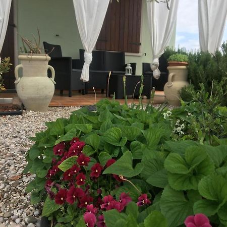 Appartamento Sofia ลาซีเซ ภายนอก รูปภาพ